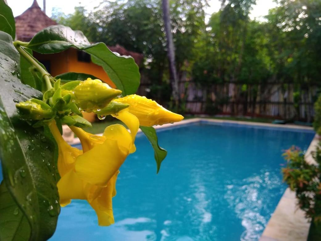 Oasi Bungalows Hotel Gili Air Exterior foto